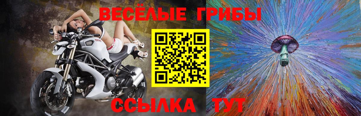 Псилоцибиновые грибы прущие грибы  Вход с VPN  Галлюциногенные грибы ЛСД  Верхняя Пышма 